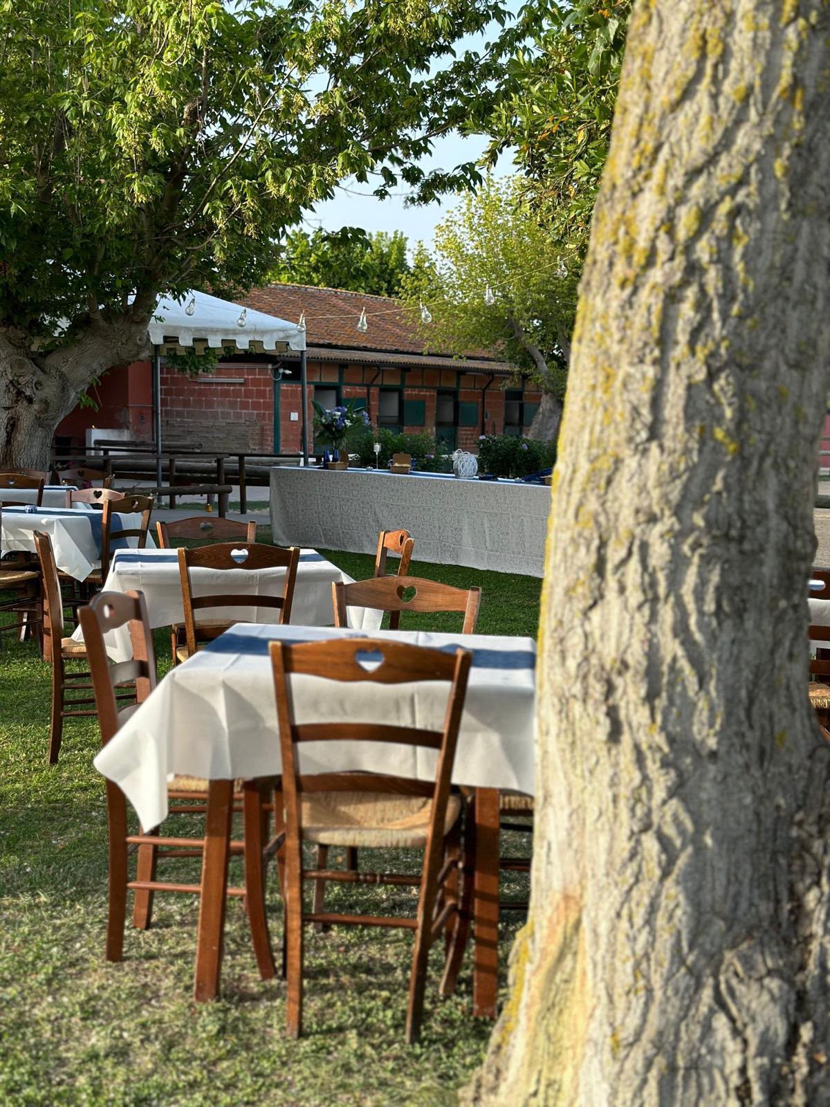 Feste ed eventi al maneggio LD Horse Stable