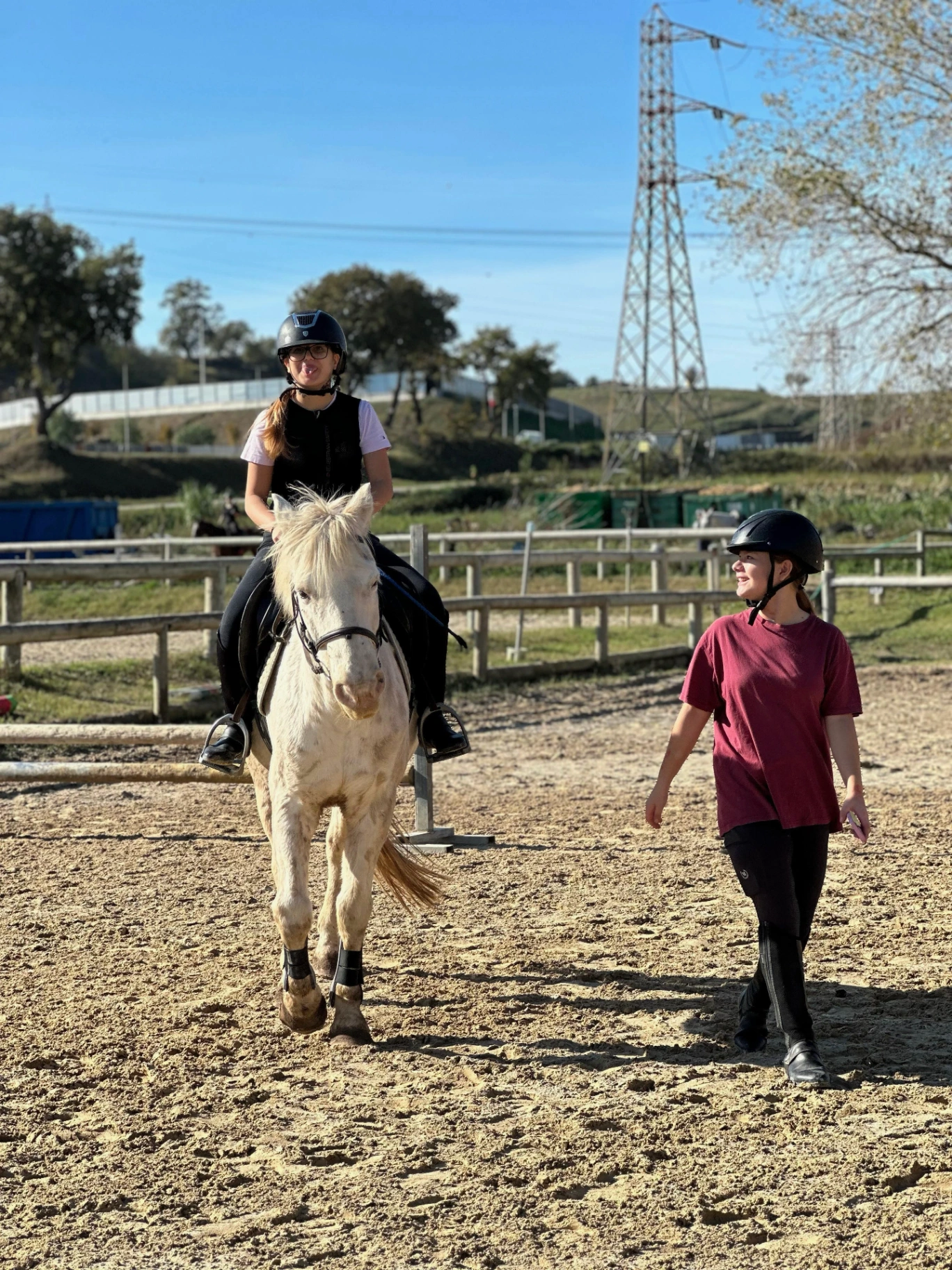 LD Horse Stable — foto 1