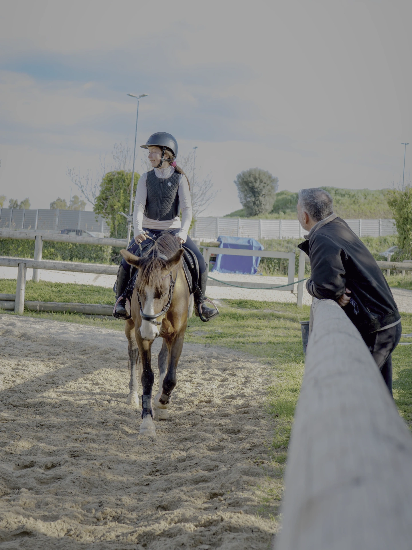 LD Horse Stable — foto 4