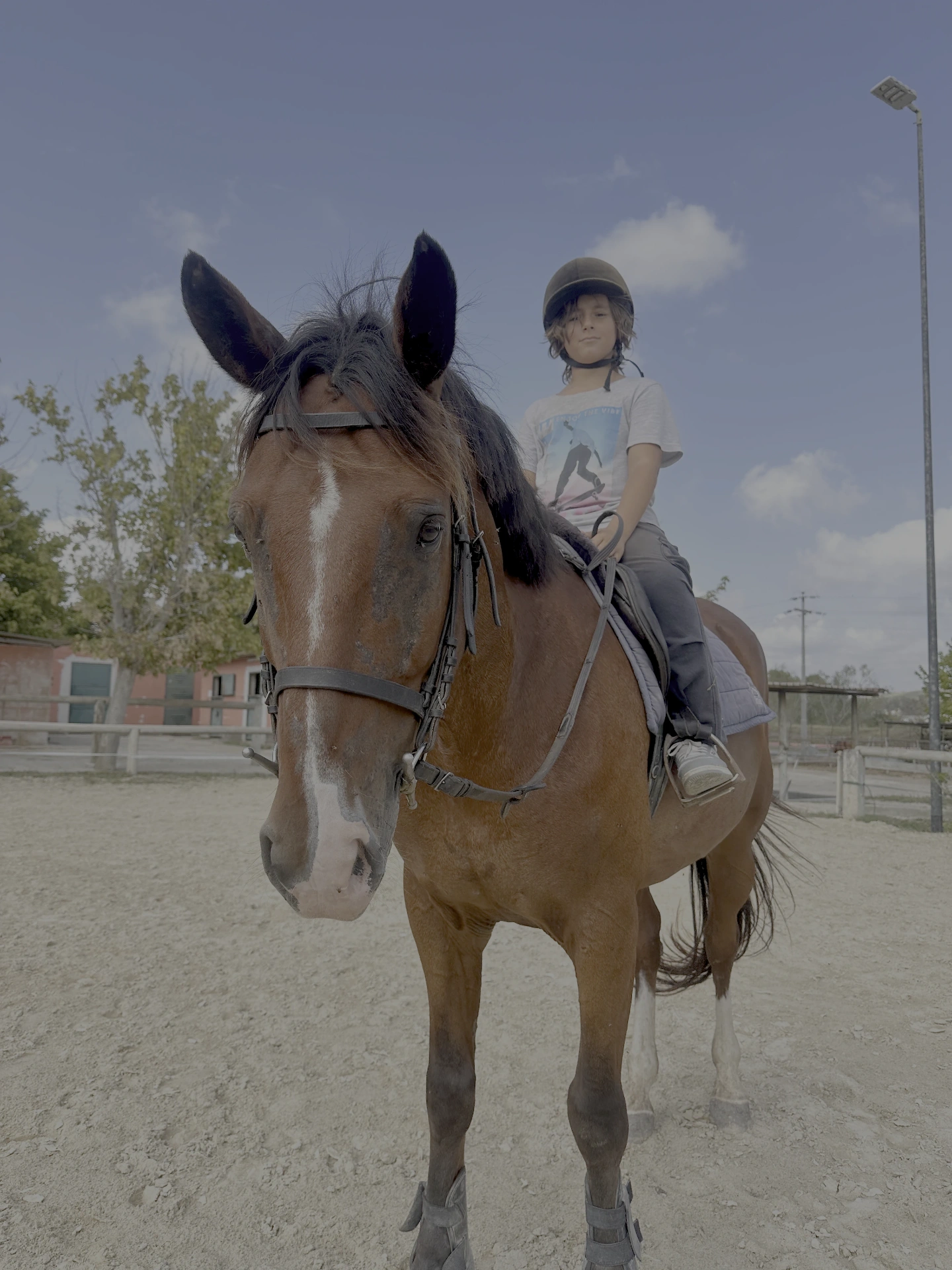 LD Horse Stable — foto 5
