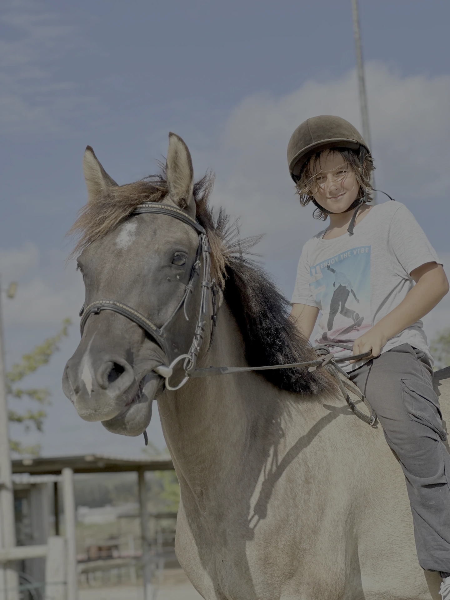 LD Horse Stable — foto 7