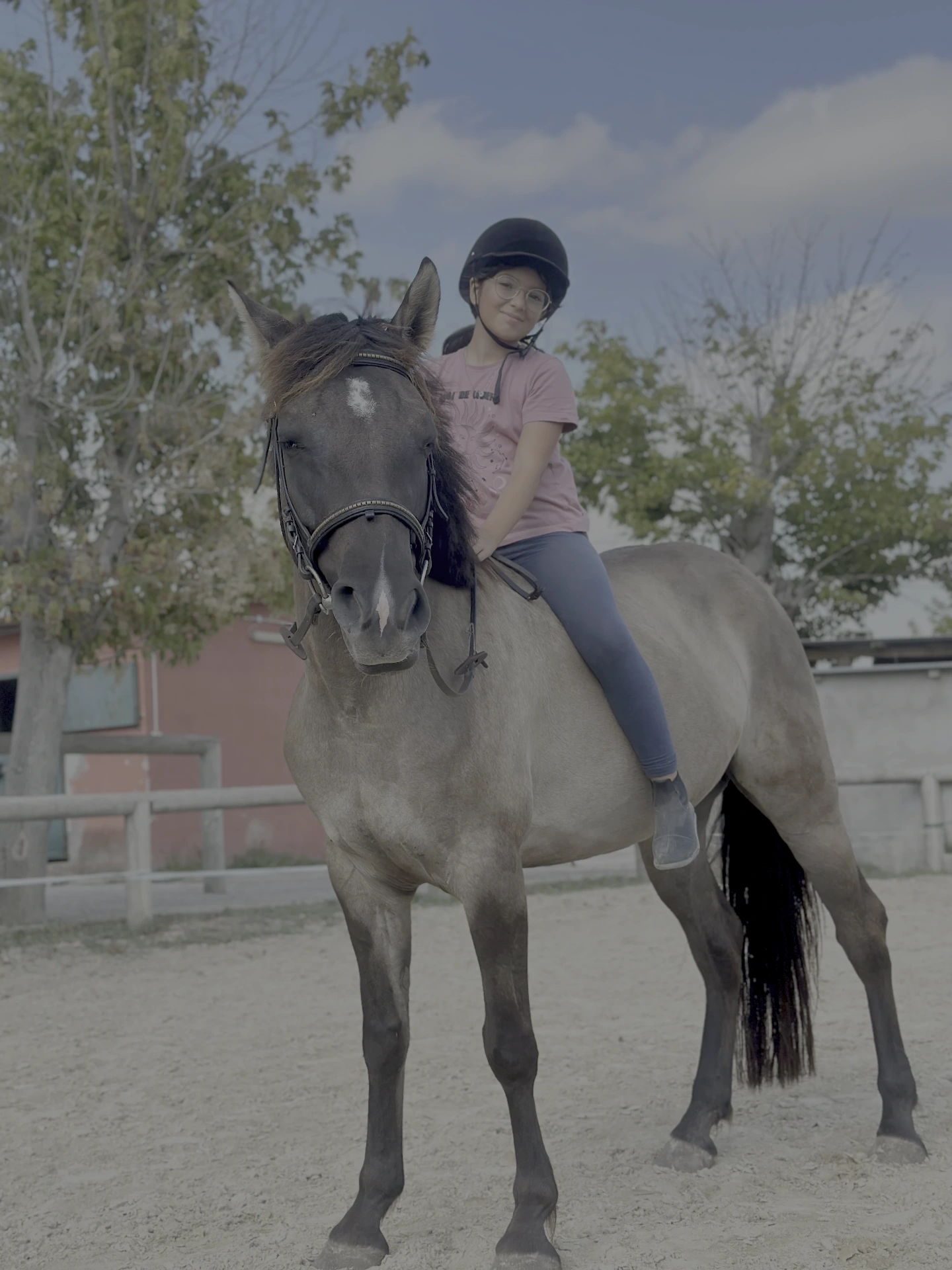 LD Horse Stable — foto 9